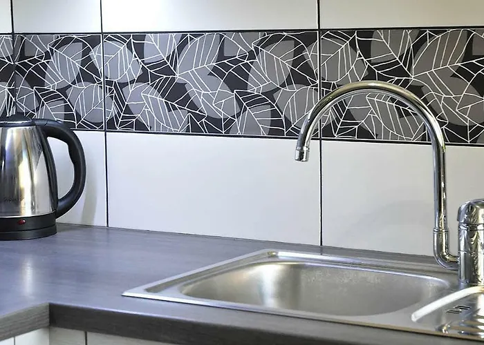 御夫座公寓 公寓 *