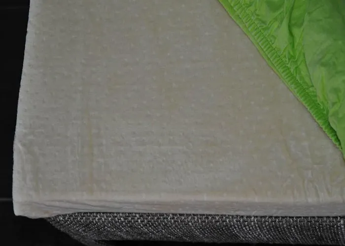 御夫座公寓 公寓 *